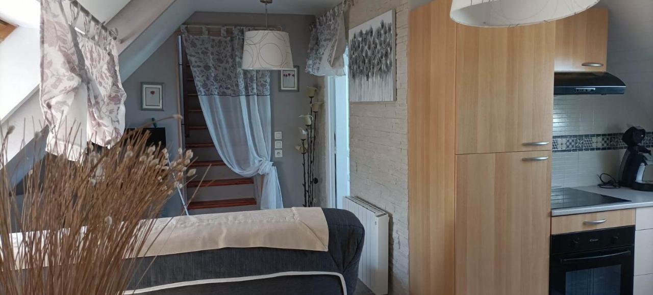 Le Cosy Apartment Lanvallay ภายนอก รูปภาพ